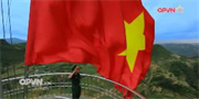 Tình yêu gửi tới đảo xa