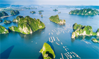 Quyết định 3108QĐ-BCĐ Ban hành quy chế làm việc của Ban Chỉ đạo và Cơ quan Thường trực giúp việc Ban Chỉ đạo Quỹ vì biển, đảo Việt Nam