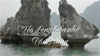 Ca khúc Hạ Long biển nhớ - Tân Nhàn