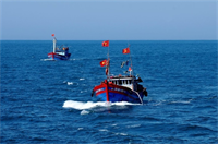 Kiến tạo tự do biển cả