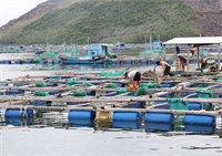 Hoàn thiện cơ chế phát triển bền vững kinh tế biển