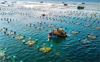 Đề án bảo vệ môi trường trong hoạt động thủy sản giai đoạn 2021 – 2030