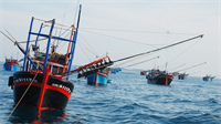 Chương trình quốc gia phát triển khai thác thủy sản hiệu quả, bền vững giai đoạn 2022 - 2025