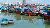 Tàu cá bám biển xuyên Tết