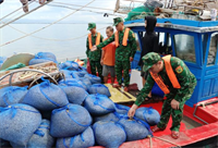 Đồn Biên phòng cửa khẩu cảng Vạn Gia: Bắt giữ 7 tàu khai thác thủy sản trái phép