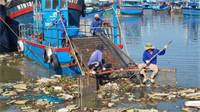 Những mô hình làm sạch môi trường nuôi biển Bài 4: Tự nguyện đóng tàu thu gom rác thải trên biển