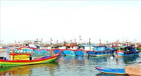 Chuyến biển đầu năm với nhiều kỳ vọng mới