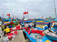 Chở nặng lộc biển từ ngư trường Hoàng Sa, Trường Sa