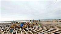 Ngư dân Quảng Ninh làm mới nghề nuôi trồng thủy sản