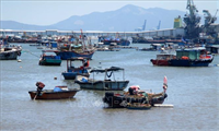 Phát triển sản xuất, khai thác tiềm năng vùng đất ven biển và hải đảo