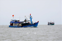Phát triển Cà Mau trở thành trung tâm kinh tế biển bền vững