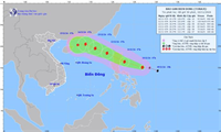 Bão số 7 chưa qua, biển Đông lại sắp đón bão số 8