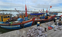 Quảng Bình cấm tàu cá ‘3 không ra khơi