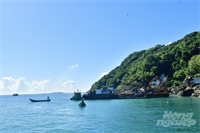 Cà Mau thành lập Khu bảo tồn biển rộng 27.000 ha