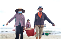 Được mùa ruốc biển, ngư dân kiếm tiền triệu mỗi ngày