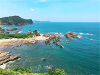 Bảo vệ đa dạng sinh học, nhân lên sự sống trong lòng biển