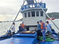 Cảnh sát biển xử lý gần 650 vụ vi phạm pháp luật trên biển với số tiền khoảng 50 tỷ đồng