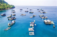 Chuyển đổi số lĩnh vực biển đảo - Khởi đầu từ giao khu vực biển