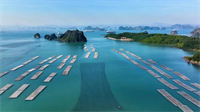 Sửa Luật Tài nguyên và Môi trường biển và hải đảo: Không để quản chặt mà mở đường ra biển lớn