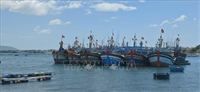 Gia Lai tăng tốc tái cơ cấu đội tàu khai thác thủy sản
