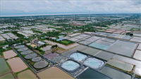 Phát triển kinh tế biển với trụ cột thủy sản và năng lượng xanh