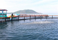 Khánh Hòa hỗ trợ ngư dân chuyển đổi lồng bè nuôi biển thân thiện môi trường