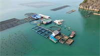 Xây dựng quốc gia biển mạnh: Bài 3 Khơi thông nguồn lực, tạo động lực mới