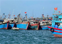 Lọc tàu cá nguy cơ vi phạm ngay từ bờ
