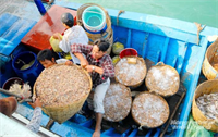 Đồng Tháp siết quản lý đội tàu, ngăn nguy cơ vi phạm IUU
