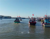Lời giải căn cơ cho nghề cá Việt Nam - Bài cuối: Cơ hội lịch sử từ bước ngoặt gỡ thẻ vàng