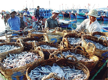 Lộc biển