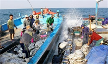 Đảm bảo an toàn cho tàu cá vươn khơi mùa mưa bão