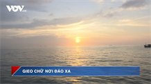 Lớp học 7 trong 1 trên đảo hòn Chuối