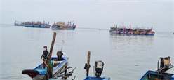 Ngư dân gặp khó khăn trong chuyến biển đầu năm