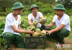 Biên phòng tăng gia trên đảo
