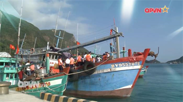 Nghĩa tình trên biển