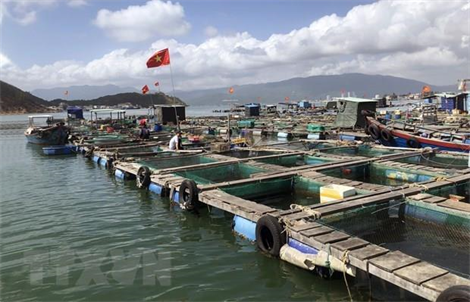 Chung tay cùng ngành thủy sản vượt khó