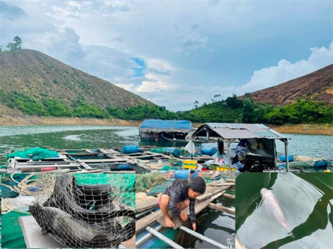 Quảng Ngãi: Tái tạo, bảo vệ nguồn lợi thủy sản để có sinh kế bền vững