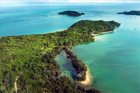 Khu bảo tồn biển Cô Tô - Đảo Trần: Phát triển kinh tế biển xanh Khu bảo tồn biển Cô Tô - Đảo Trần: Phát triển kinh tế biển xanh