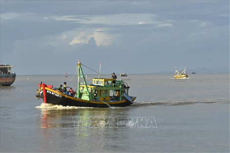 Bình Thuận mở cao điểm chống khai thác IUU