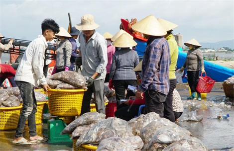 Thủy sản Việt trước ngưỡng cửa EU khắt khe: Bài 2 Khó vào EU vì thẻ vàng IUU