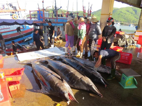 Cuối năm, đón niềm vui từ biển