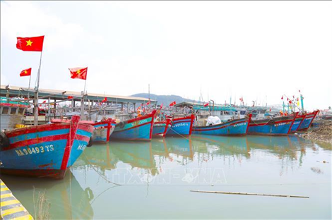 Nghệ An có 5 khu neo đậu tránh trú bão cho tàu cá đủ điều kiện hoạt động