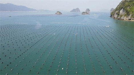 67 năm ngành thủy sản: Từ truyền thống đến tầm vóc mới