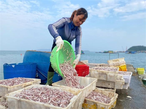 Đảo xanh: Bài 4 Hành động xanh nơi đảo tiền tiêu