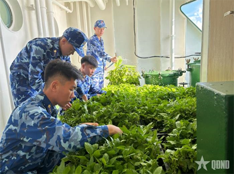 Những mầm xanh trên boong tàu cảnh sát biển