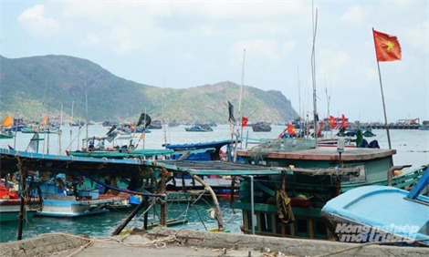 TP.HCM hướng biển đúng luật: Bài cuối Công nghệ khỏa lấp khoảng trống