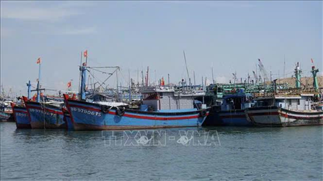 Gia Lai siết quản lý tàu cá không đủ điều kiện hoạt động