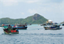 Chống khai thác IUU đạt nhiều kết quả khả quan