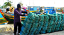 Biển vàng, niềm tin xanh: Bài 3 Đồng quản lý nghề cá ...